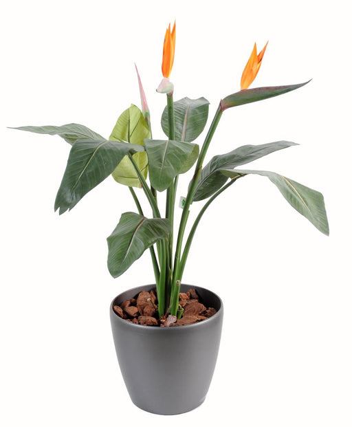 Kunstig Plante Strelitzia 2 Blomster Dekorasjon H.85Cm