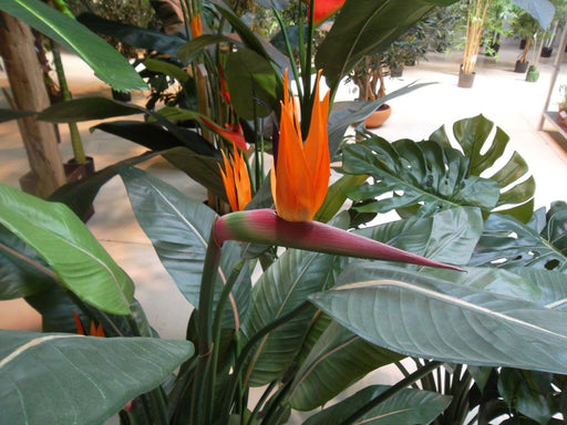 Kunstig Plante Strelitzia 3 Blomster 150Cm