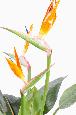 Kunstig Strelitzia-Plante Med Oransje Blomster 98 Cm