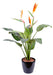 Kunstig Strelitzia-Plante Med Oransje Blomster 98 Cm