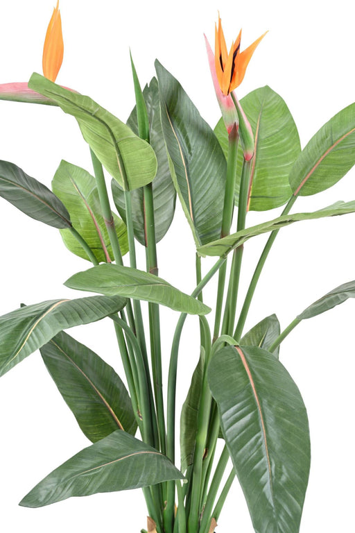 Kunstig Plante Strelitzia Bird Of Paradise H.110Cm