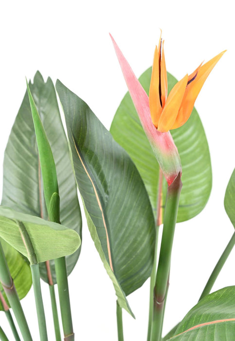 Kunstig Plante Strelitzia Bird Of Paradise H.110Cm