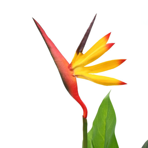 Kunstig Plante Strelitzia Reginae Bird Of Paradise 66 Cm