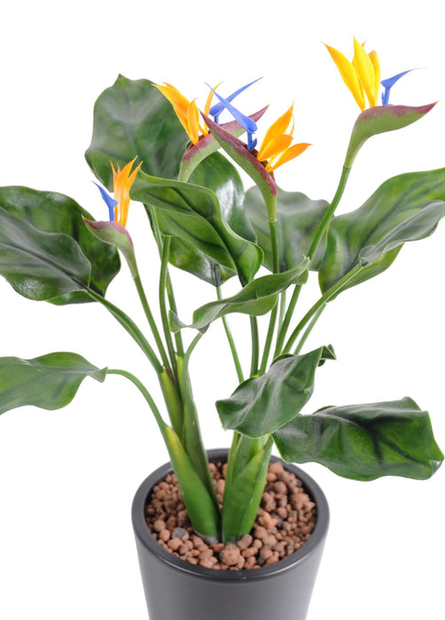 Kunstig Plante Strelitzia UV-Bestandig 50Cm