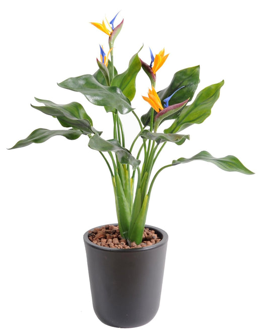 Kunstig Plante Strelitzia UV-Bestandig 50Cm