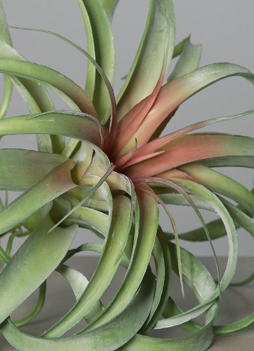 Kunstig Plante Tillandsia På Stake 28Cm Dekor