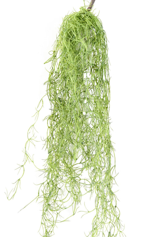 Kunstig Plante Tillandsia Grønn 80Cm Dekor