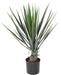 Kunstig Plante Yucca Rostrata 60 Cm Grønn