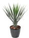 Kunstig Plante Yucca Rostrata 60 Cm Grønn