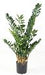 Kunstig Plante Zamioculcas 110Cm For Innendørs