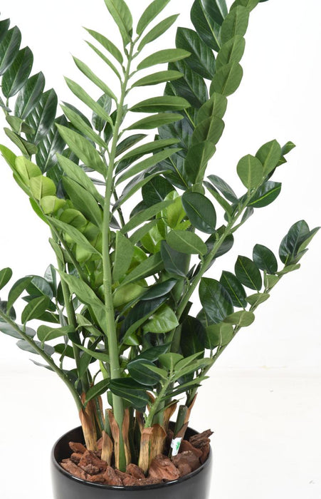 Kunstig Plante Zamioculcas 110Cm For Innendørs