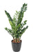 Kunstig Plante Zamioculcas 110Cm For Innendørs