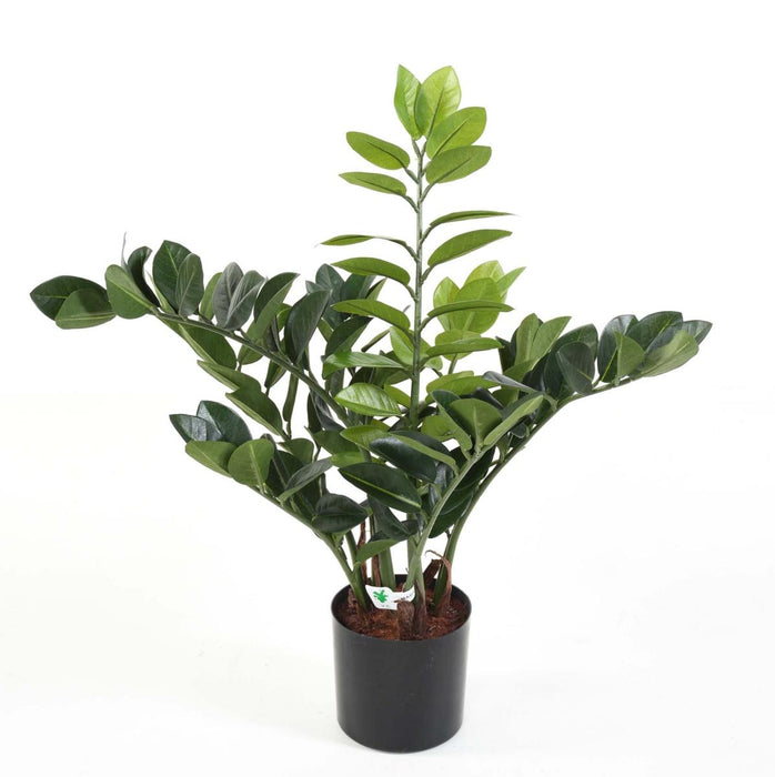 Kunstig Plante Zamioculcas 60Cm For Innendørs