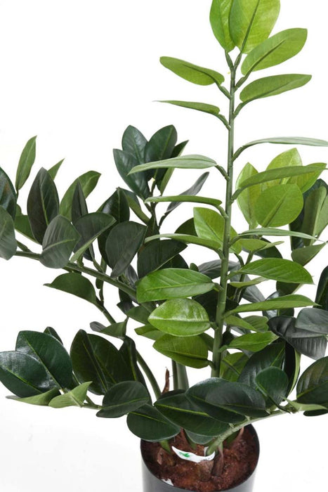 Kunstig Plante Zamioculcas 60Cm For Innendørs