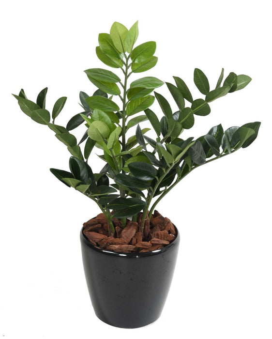 Kunstig Plante Zamioculcas 60Cm For Innendørs