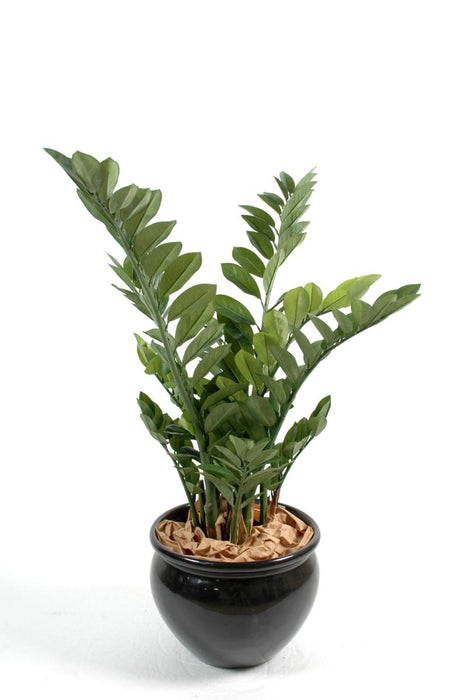 Kunstig Plante Zamioculcas 90Cm For Innendørs