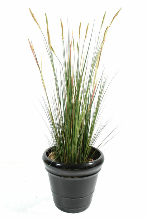 Kunstig Plante Zanichellie Marsh 155Cm