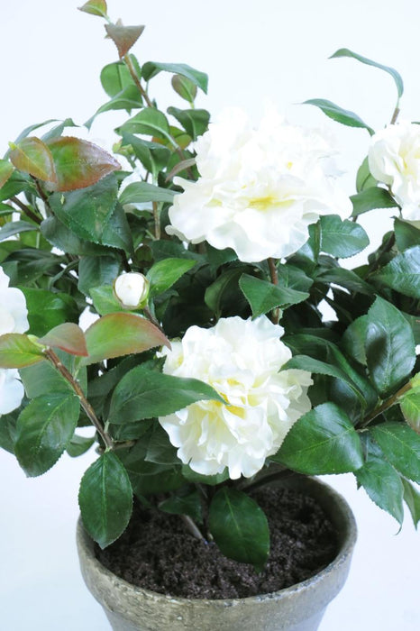 Kunstig Camellia Plante I Potte 56Cm Hvit