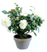 Kunstig Camellia Plante I Potte 56Cm Hvit