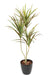 Kunstig Dracaena Plante 3 Hoder 140 Cm