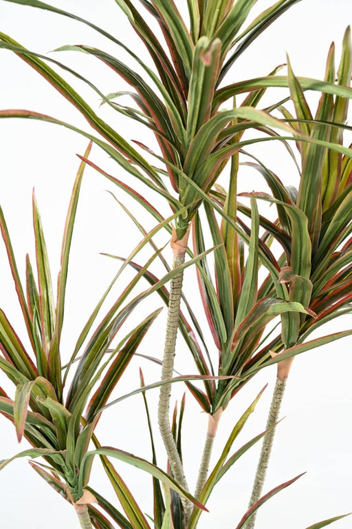 Kunstig Dracaena Plante 5 Hoder 190Cm