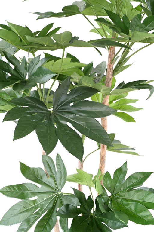 Fake Plant Fatsia Japonica 150Cm For Innendørs