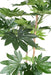 Fake Plant Fatsia Japonica 150Cm For Innendørs