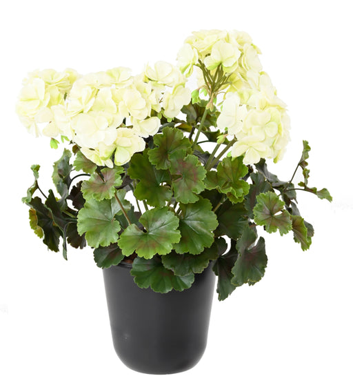 Kunstig Geranium Plant 6 Hoder UV 35Cm Hvit