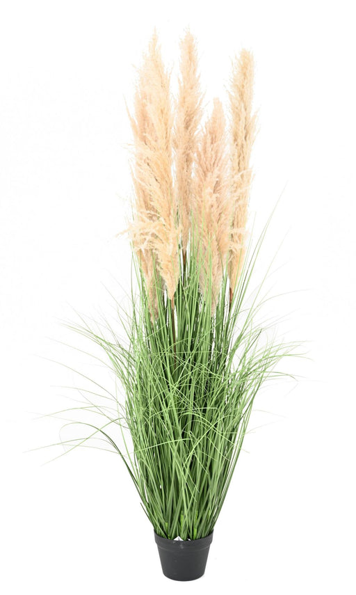 Kunstig Carex Gressplante 150 Cm Grønn