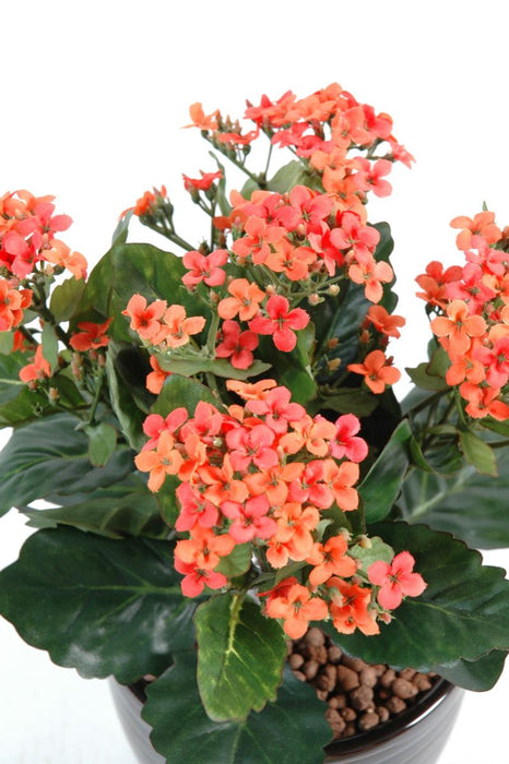 Kunstig Kalanchoe Plant På Stake 25 Cm Fersken