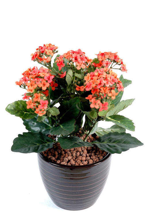 Kunstig Kalanchoe Plant På Stake 25 Cm Fersken