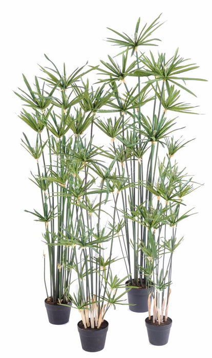 Kunstig Papyrus Alternifolius Plante I Potte 100Cm