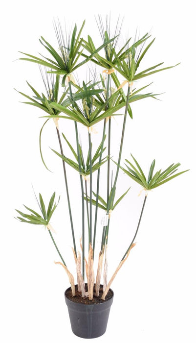 Kunstig Papyrus Alternifolius Plante I Potte 100Cm