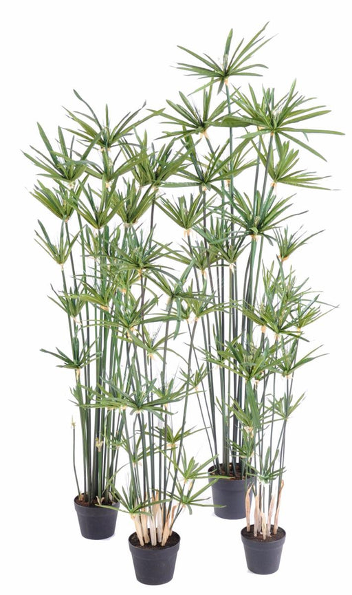 Kunstig Papyrus Alternifolius Plante H. 125 Cm