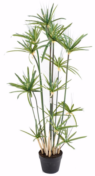 Kunstig Papyrus Alternifolius Plante H. 125 Cm