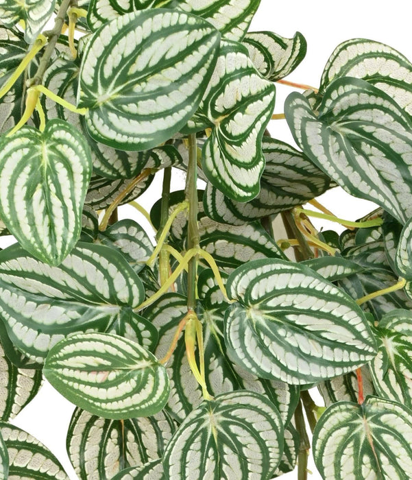 Kunstig Hengende Plante Peperomia H.70 Cm