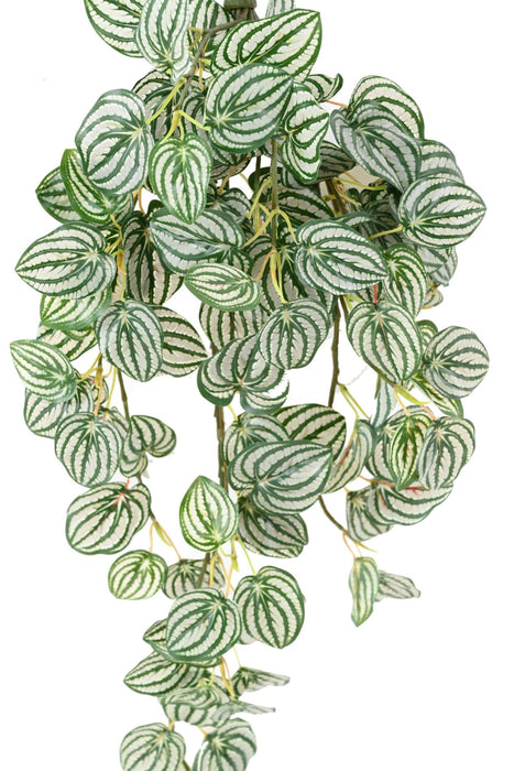 Kunstig Hengende Plante Peperomia H.70 Cm