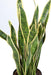 Kunstig Sansevieria-Plante 93Cm Interiørdekorasjon