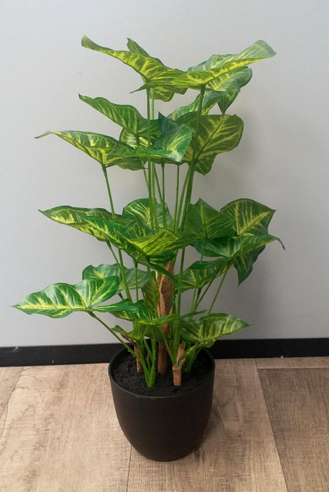 Kunstig Syngonium Plante I Potte 50 Cm Grønn