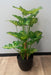 Kunstig Syngonium Plante I Potte 50 Cm Grønn