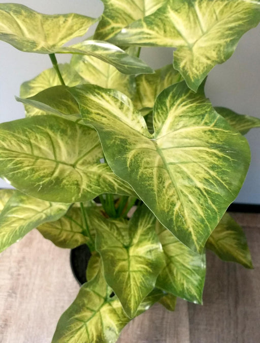 Kunstig Syngonium Plante I Potte 50Cm Lysegrønn