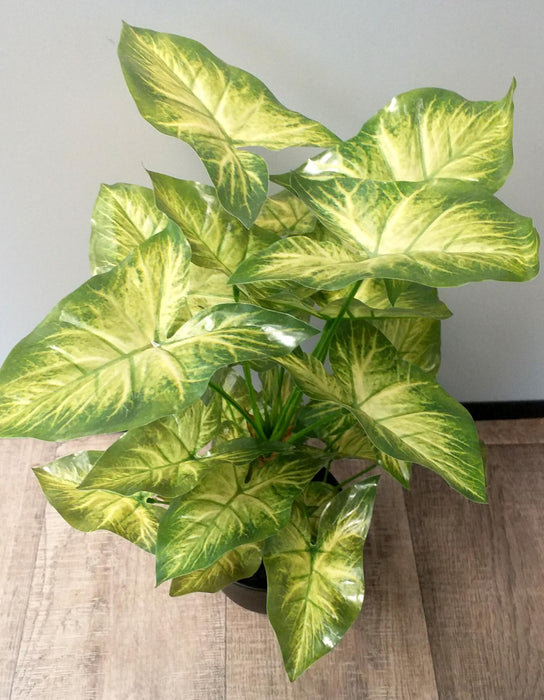 Kunstig Syngonium Plante I Potte 50Cm Lysegrønn