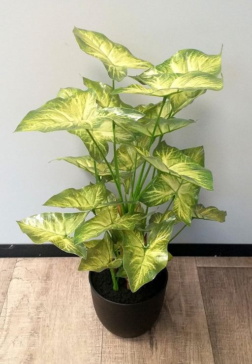 Kunstig Syngonium Plante I Potte 50Cm Lysegrønn