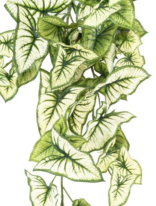 Kunstig Syngonium Plant H.60Cm Interiørdekorasjon