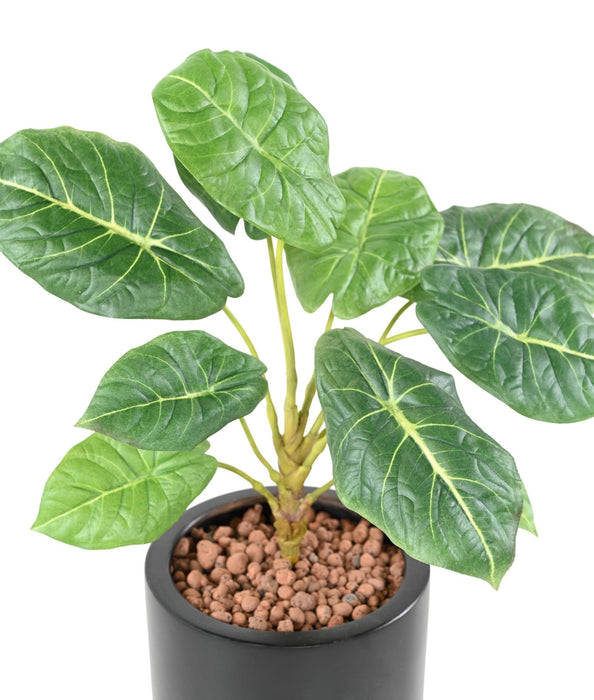 Kunstig Grønn Plante Alocasia 10 Blader 50Cm