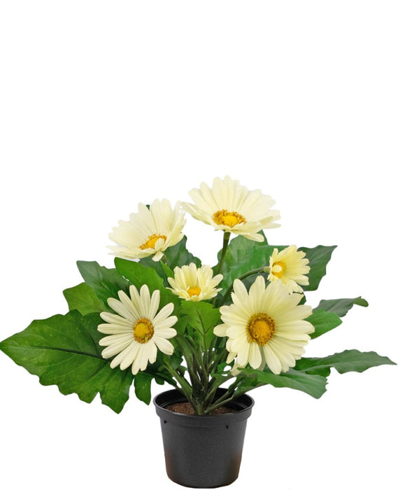 Kunstig Plante Hvit Gerbera