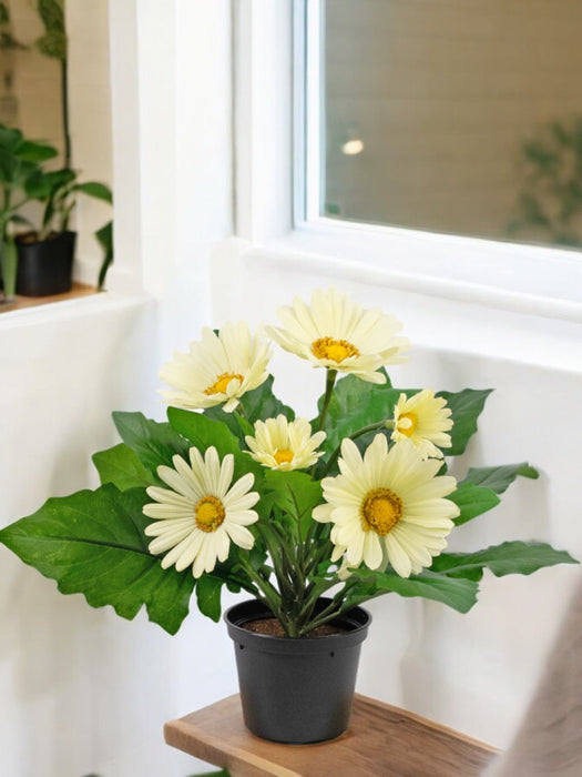 Kunstig Plante Hvit Gerbera