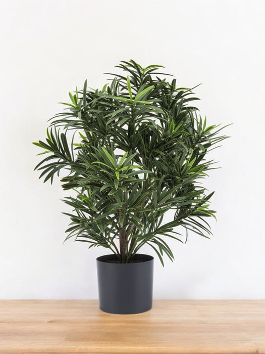 Podocarpus - Kunstig Grønn Plante