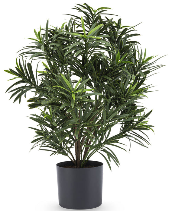 Podocarpus - Kunstig Grønn Plante