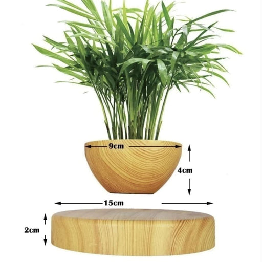 Babylonia Pot